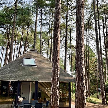 L Oree De La Pinede Hardelot Plage A 800 Metres De La Mer Sous Les Pins Εξωτερικό φωτογραφία