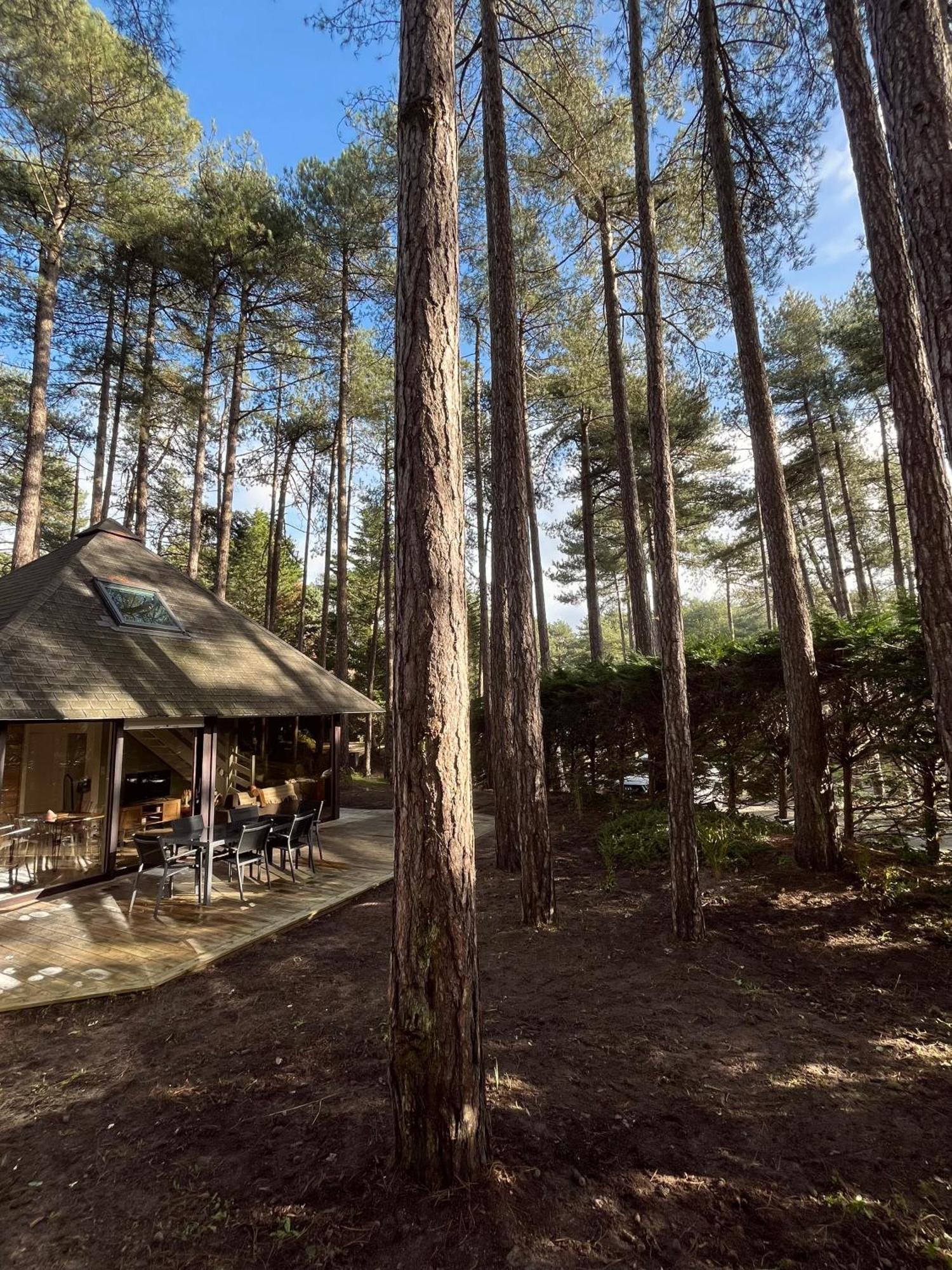 L Oree De La Pinede Hardelot Plage A 800 Metres De La Mer Sous Les Pins Εξωτερικό φωτογραφία